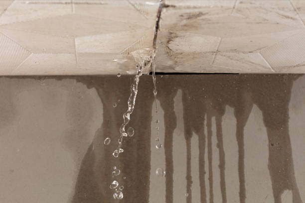 Professional Water Damage Repair technician working in Cropwell, AL
